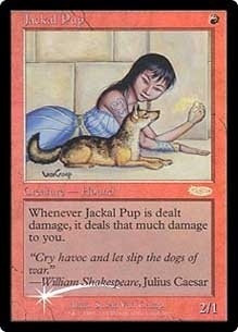 たぬき 希少 MTG, マジック:ザ・ギャザリング 通販 | ENNDAL GAMES / (Promo マジック：ザ・ギャザリング